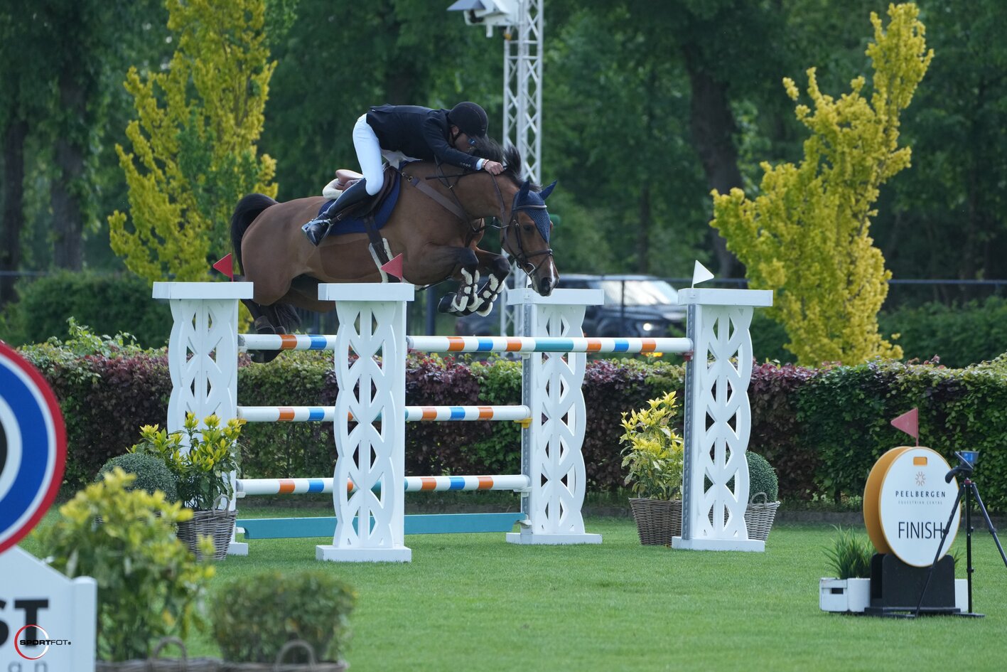 Casallina APG Z jumping in competition