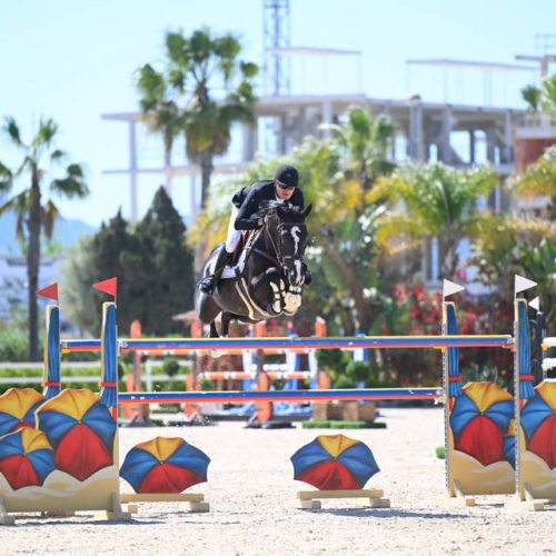 Jazzlyn WP jumping in competition